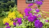 12787 Emerald Dr - Photo 5