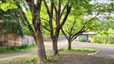 874 Cottonwood Drive - Photo 37