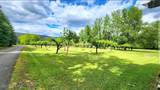 874 Cottonwood Drive - Photo 49
