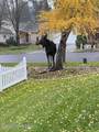207 Harbor Park Ct - Photo 39