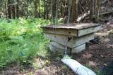 788 Gold Cup Mountain Rd - Photo 22
