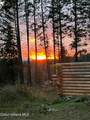 890 Pokey Creek Rd - Photo 33