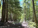 2216 Mosquito Creek Rd - Photo 36
