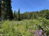 2216 Mosquito Creek Rd - Photo 37
