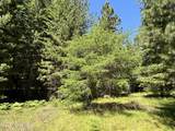 2216 Mosquito Creek Rd - Photo 38