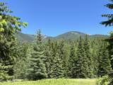 2216 Mosquito Creek Rd - Photo 9