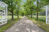 8850 Fernan Lake Rd - Photo 5
