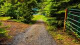 18358 Watson Rd - Photo 30