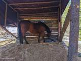 34517 Hayden Dr - Photo 47