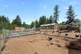 9831 Hamaker Rd - Photo 11