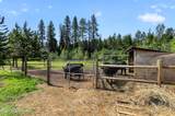 9831 Hamaker Rd - Photo 9