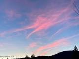 7443 Macaw Ln - Photo 25