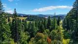 13227 Elder Rd - Photo 6