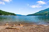 1108 Garfield Bay Rd - Photo 31