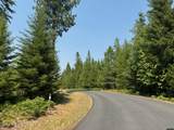 455 Scenic Dr - Photo 55