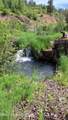 1010 Bear Creek Road - Photo 7