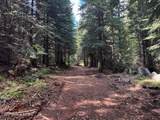 NKA 160 Acres Jeru Creek Rd 293 - Photo 13
