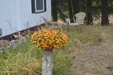 265 Lower Manley Creek - Photo 4