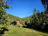 34 and 134 Bear Paw Lane - Photo 41