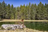 877 Heath Lake Rd - Photo 39