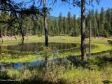 53396 Highway 95 - Photo 12