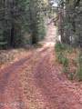 53396 Highway 95 - Photo 6