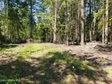 1007 Ruby Creek Rd - Photo 50