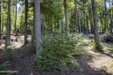 202 Fry Creek Rd - Photo 40
