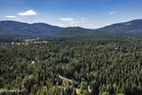 202 Fry Creek Rd - Photo 48