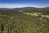 202 Fry Creek Rd - Photo 51