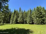 2216 Mosquito Creek Rd - Photo 40
