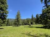 2216 Mosquito Creek Rd - Photo 41