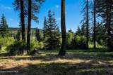 13227 Elder Rd - Photo 24