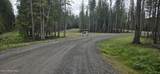 240 Brown Bear Dr - Photo 10