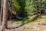240 Brown Bear Dr - Photo 24