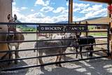 708 Fork Road - Photo 117