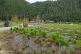 708 Fork Road - Photo 93