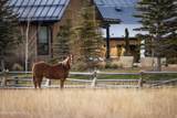 708 Fork Road - Photo 96