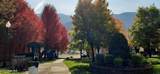 561 8th St - Photo 21