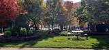561 8th St - Photo 22