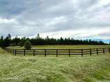 NKA Stonemason Way (Lot 1 Block 2) - Photo 4