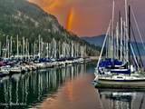34129 Scenic Bay Dock A - Photo 16