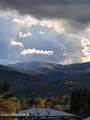 87705 Highway 3 - Photo 41
