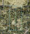8152 Ben Pointe Rd - Photo 23