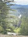 1870 Highway 57 - Photo 63