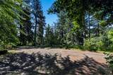 13227 Elder Rd - Photo 28