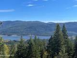 1452 Grizzly Gap Rd - Photo 46