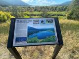1452 Grizzly Gap Rd - Photo 54