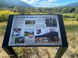 1452 Grizzly Gap Rd - Photo 56