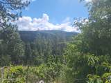1004 Millsap Loop - Photo 28